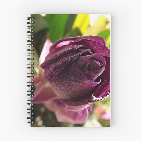Item preview, Dried Rose designed and sold by ☆ CR4ZIIB4BII ☆.