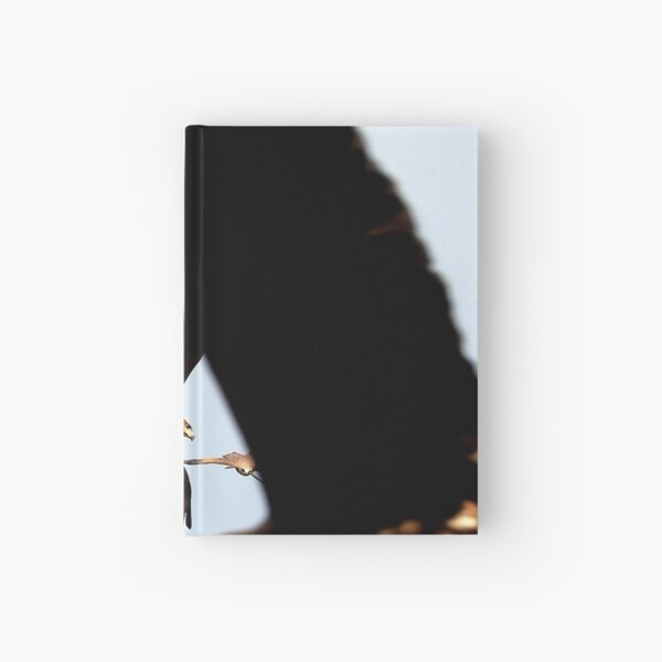 Black Kites Hardcover Journal