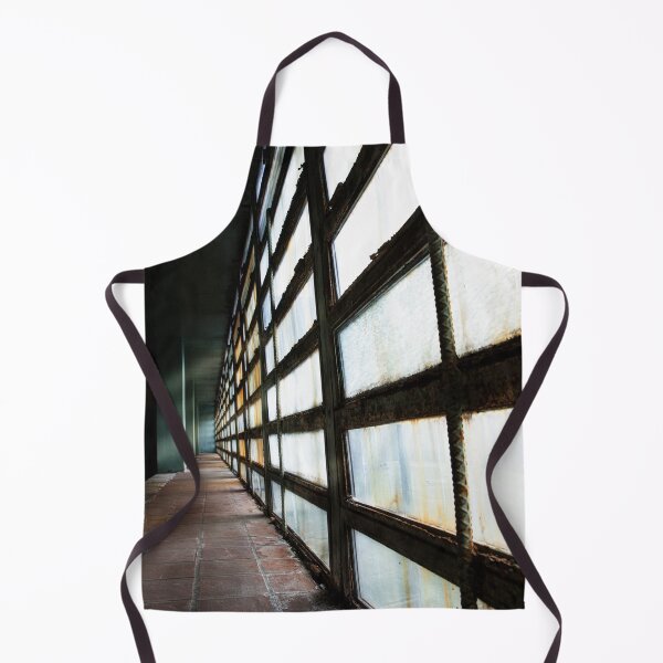 Item preview, Medical windows at Trans-Allegheny Asylum designed and sold by LESLIEDYESIGN.