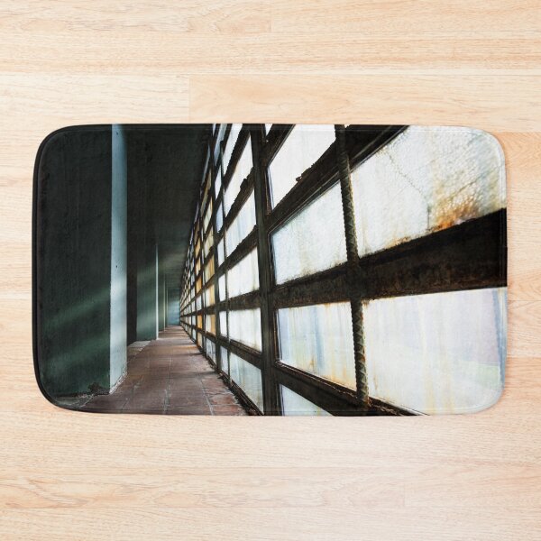 Item preview, Medical windows at Trans-Allegheny Asylum designed and sold by LESLIEDYESIGN.