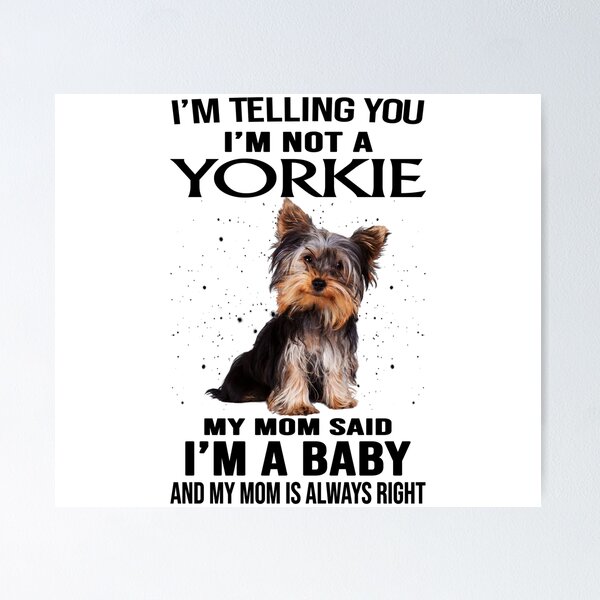 Item preview, I Am Not A Yorkie Dogs Yorkshire Dog designed and sold by Dog-Art-Shirt.