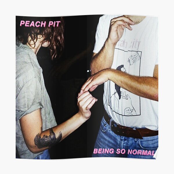 Pit Posters Redbubble