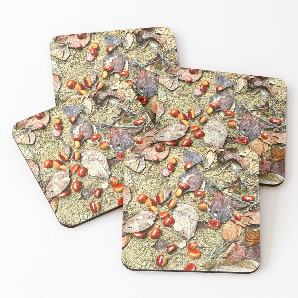 Item preview, Coasters (Set of 4) designed and sold by JenChoi.