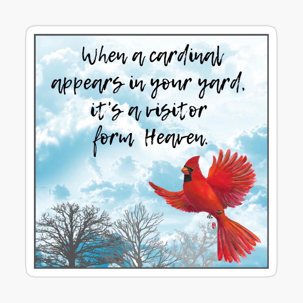 Cardinal with Visitor From Heaven poem 10x8 Poster