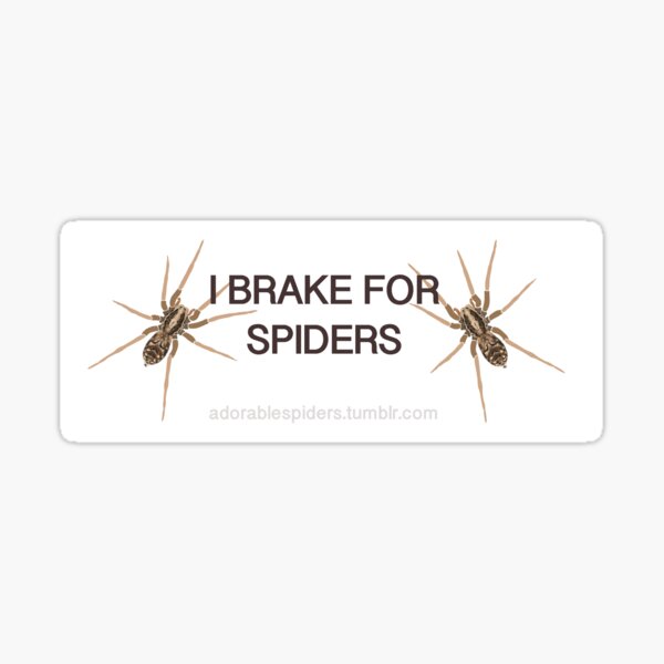 spider bumper sticker Sticker