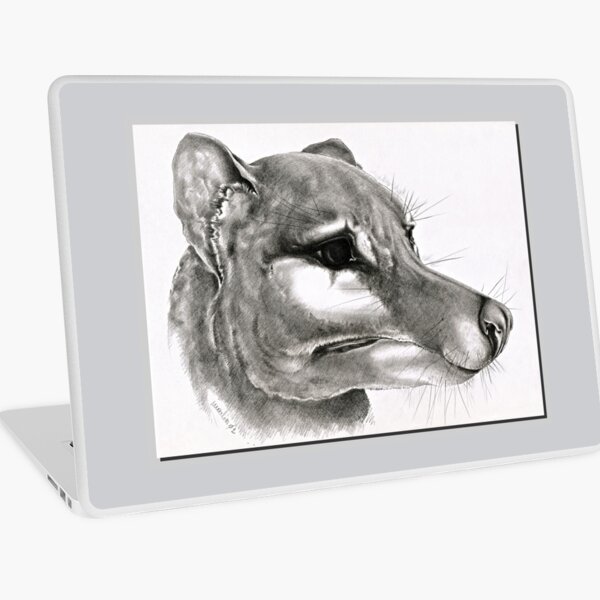 Macbook Air 13" (2015)