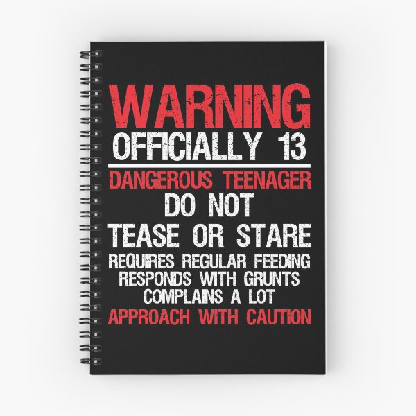 Item preview, 13 Years Old Warning Dangerous Teenager 13th Birthday  designed and sold by woodesigner.