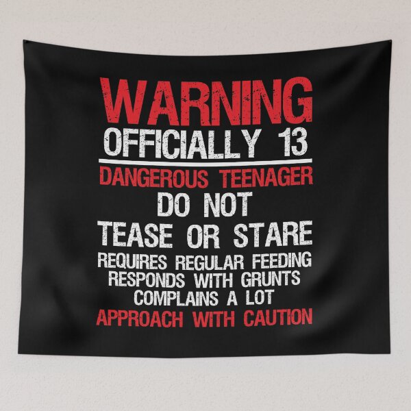 Item preview, 13 Years Old Warning Dangerous Teenager 13th Birthday  designed and sold by woodesigner.