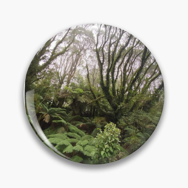 Item preview, Ferny landscape, The Otways, Victoria designed and sold by Roz McQuillan Fine Art & Photography.