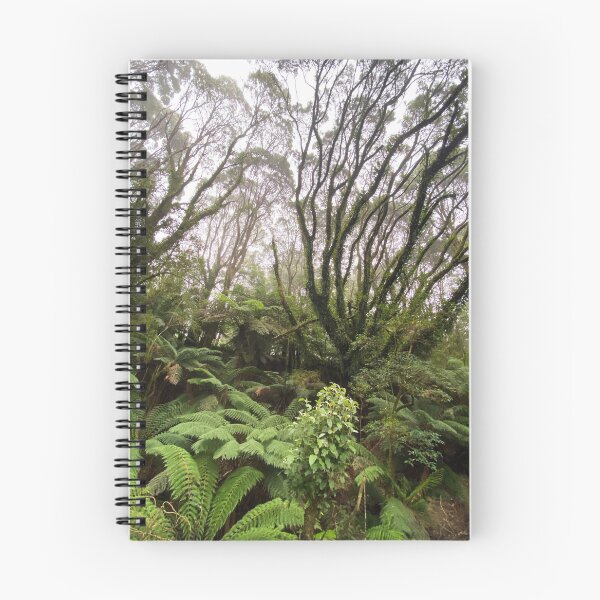 Item preview, Ferny landscape, The Otways, Victoria designed and sold by Roz McQuillan Fine Art & Photography.