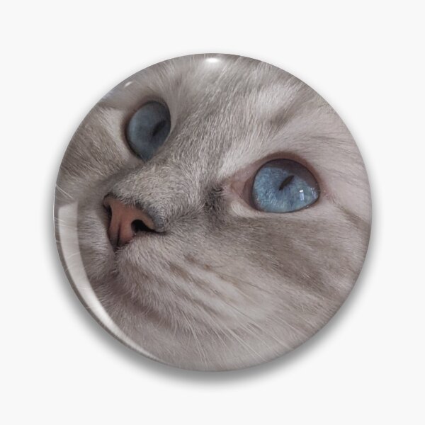 Item preview, Ragdoll cat Maia designed and sold by Fluffycat2020.