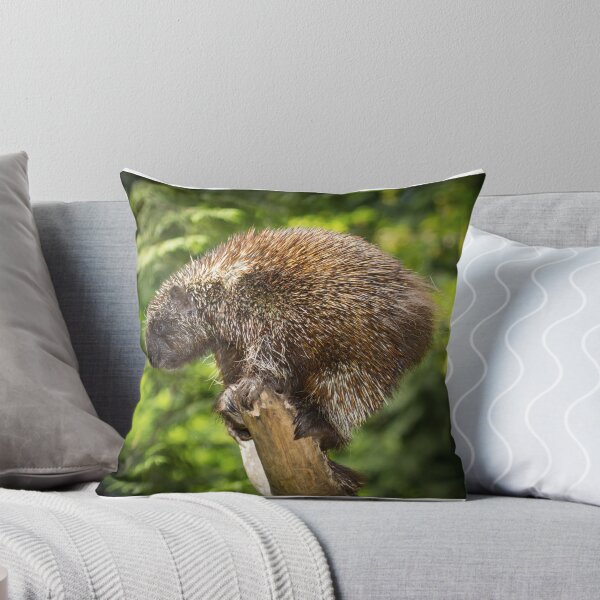 Item preview, Porcupine designed and sold by RandyHume.