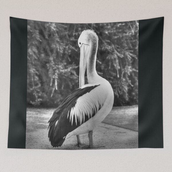 Item preview, Pelican out for a stroll (M) designed and sold by Blackadder Photography.