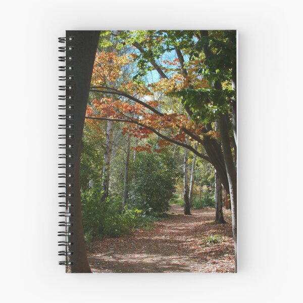 Item preview, Autumn pathway designed and sold by notjustamwac.