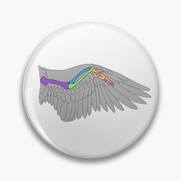 Item preview, Avian Bones (Colored) designed and sold by peltigaan.