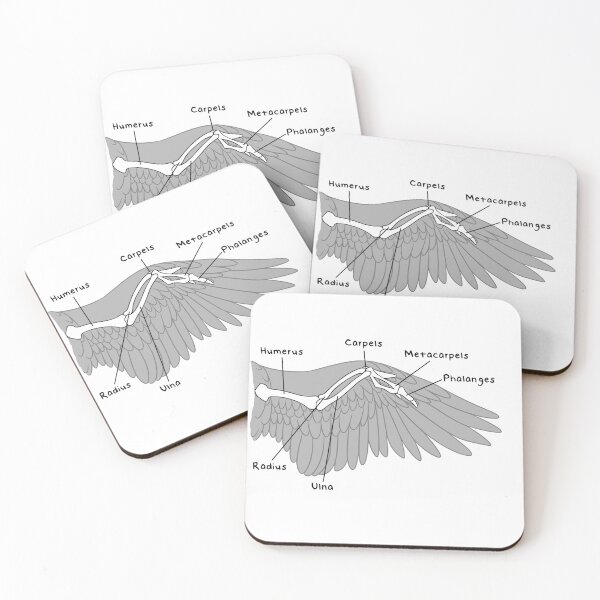 Item preview, Avian Bones (Labeled) designed and sold by peltigaan.