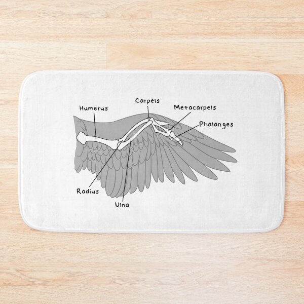 Item preview, Avian Bones (Labeled) designed and sold by peltigaan.
