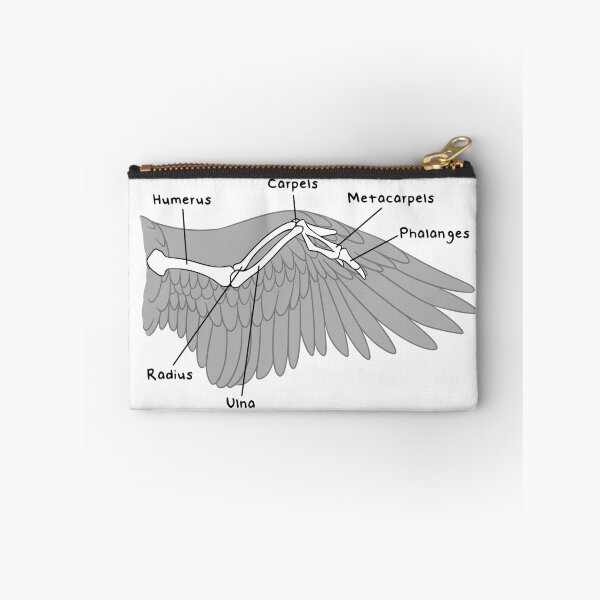 Item preview, Avian Bones (Labeled) designed and sold by peltigaan.