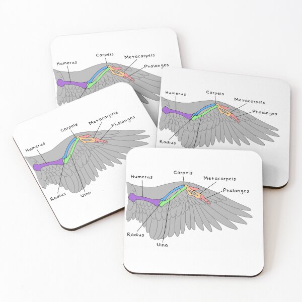 Item preview, Avian Bones (Colored & Labeled) designed and sold by peltigaan.