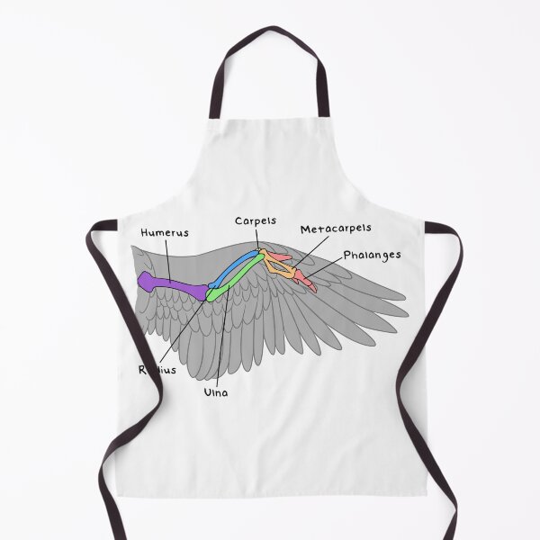 Item preview, Avian Bones (Colored & Labeled) designed and sold by peltigaan.