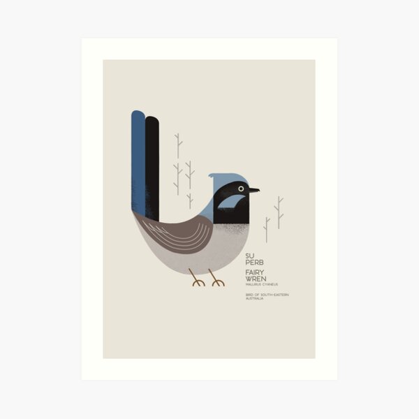 Superb Fairywren, Bird of Australia II Art Print
