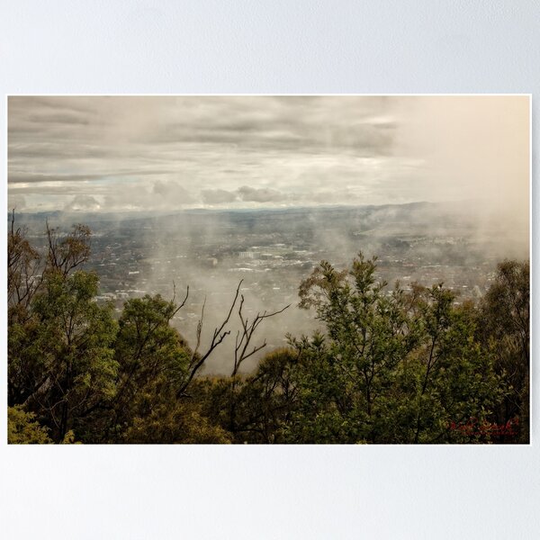 Item preview, Foggy Morning at Mount Ainslie (2) designed and sold by Wolf Sverak Photography.