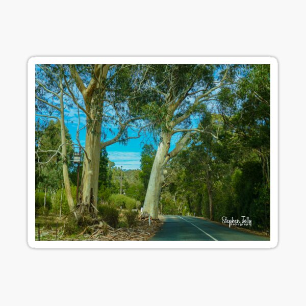 Item preview, Adelaide Hills Road designed and sold by Stephen Jolly.