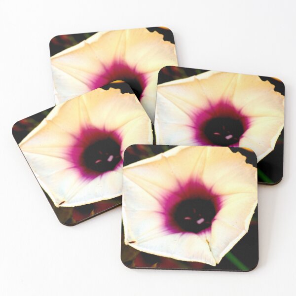 Item preview, Sweet Potato Flower 1 designed and sold by Geoff Treagus.