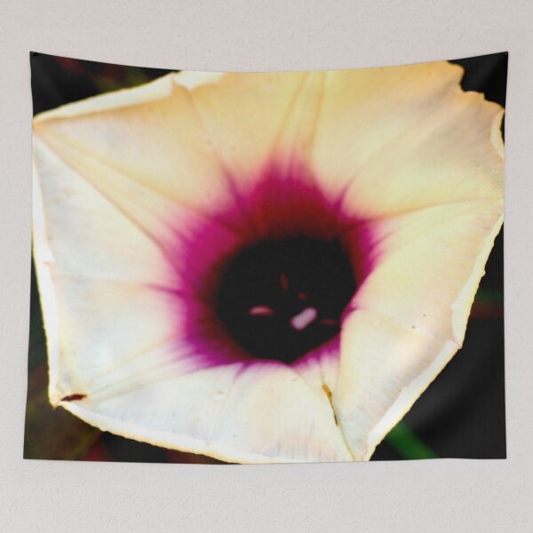 Item preview, Sweet Potato Flower 1 designed and sold by Geoff Treagus.
