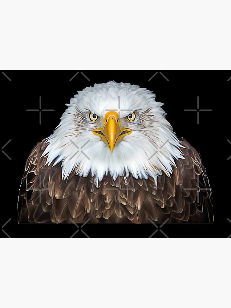 Portrait of American Eagle Bird with Oil Paint Effect  Mask for