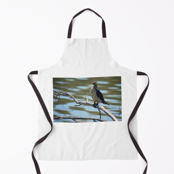 Item preview, Juvenile Pied Cormorant designed and sold by D-GaP.