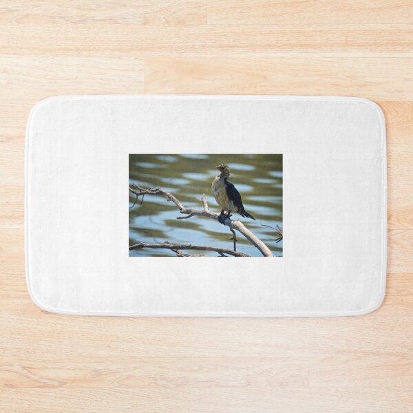 Item preview, Juvenile Pied Cormorant designed and sold by D-GaP.