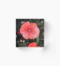Coquelicot Acrylic Block