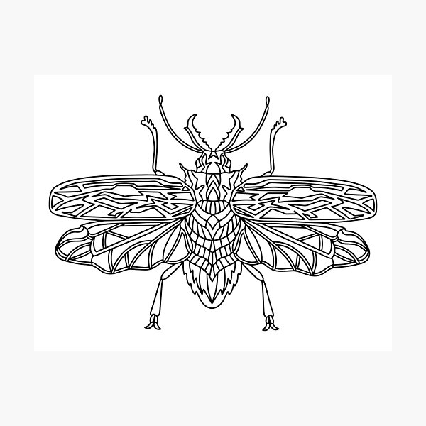 Item preview, Beetle Brazilian woodcutter  designed and sold by Dustick.