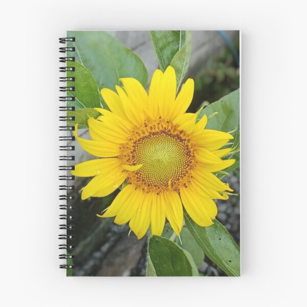 Item preview, Efflorescence Sunflower designed and sold by Luxxe87.