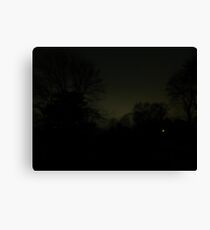 Light Pollution Canvas Print