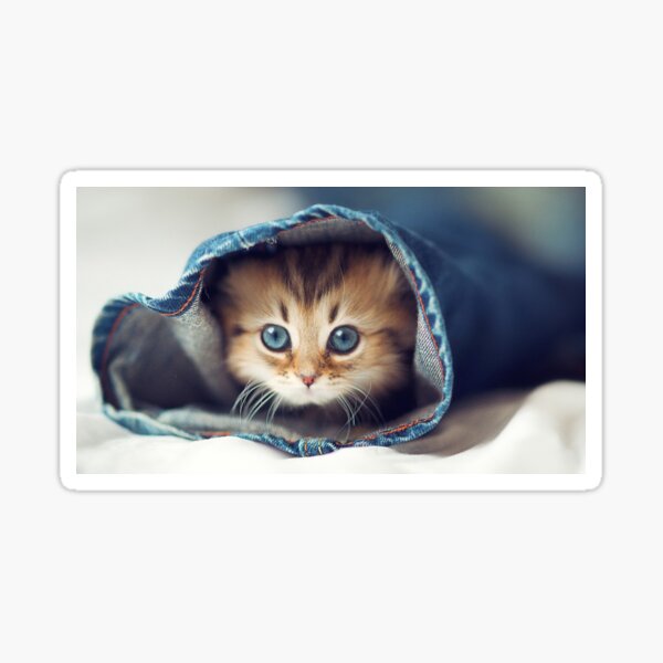 Item preview, Cutecat designed and sold by linusmart.