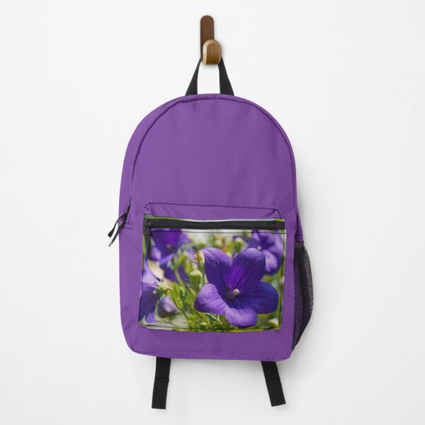 Aperçu de l'œuvre Fleurs de Campanula Carpatica créée et vendue par jojobob.
