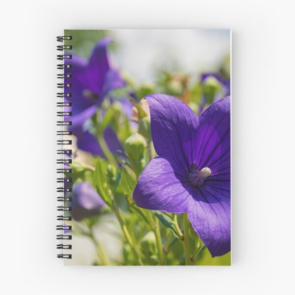 Item preview, Campanula Carpatica Flowers designed and sold by jojobob.