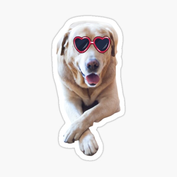 Item preview, Netter Doggo mit Liebesbrille designed and sold by StickersHub94.