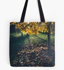 Afternoon glow Tote Bag