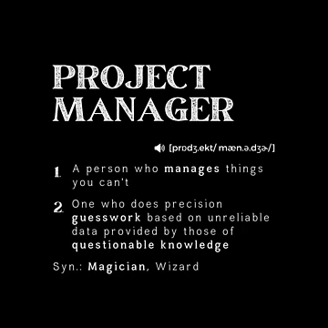 Artwork thumbnail, Funny Project Manager Definition Management Leader Program by InitialModel