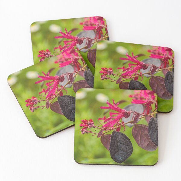 Item preview, Loropetalum Chinense designed and sold by jojobob.