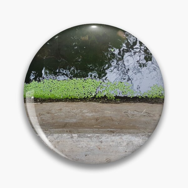 Item preview, Levada on Madeira 2 designed and sold by raumbildwelt.