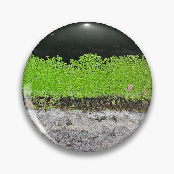 Item preview, Levada on Madeira 3 designed and sold by raumbildwelt.