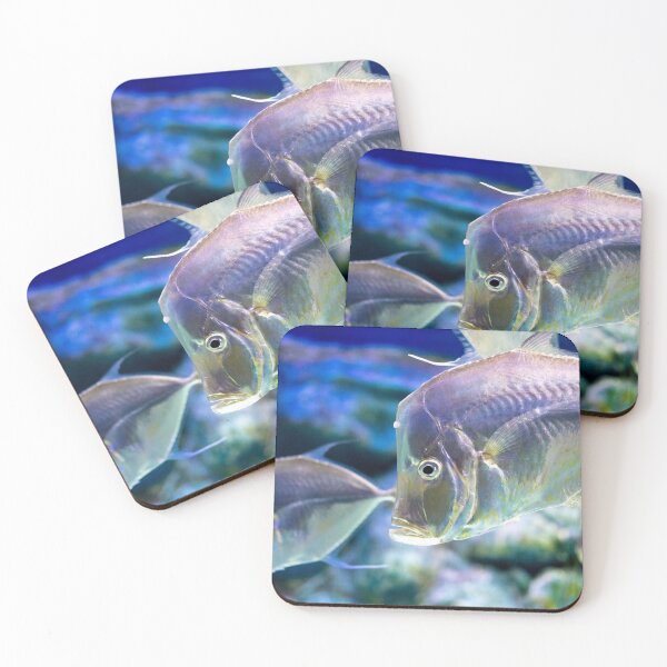 Item preview, Silver Fishes designed and sold by Cialli.