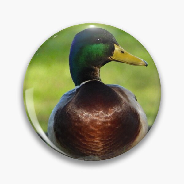 Item preview, A Wonderful Mallard Duck designed and sold by Karen Thomson.