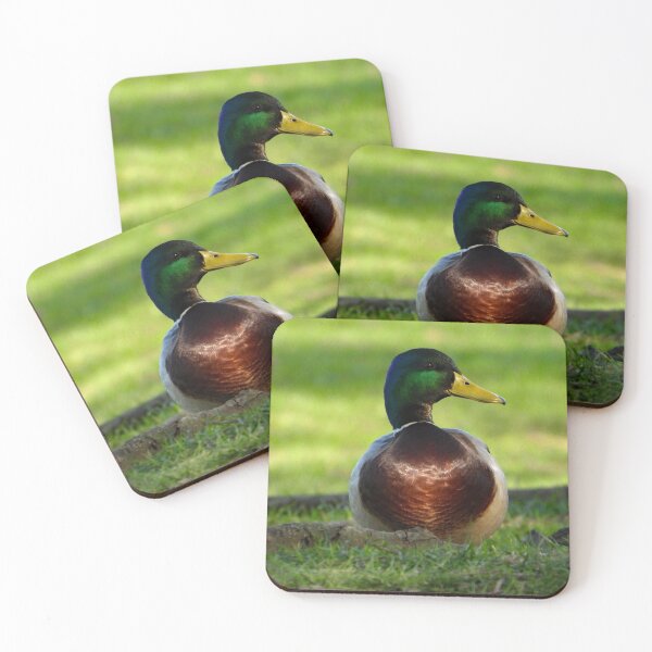 Item preview, A Wonderful Mallard Duck designed and sold by Karen Thomson.