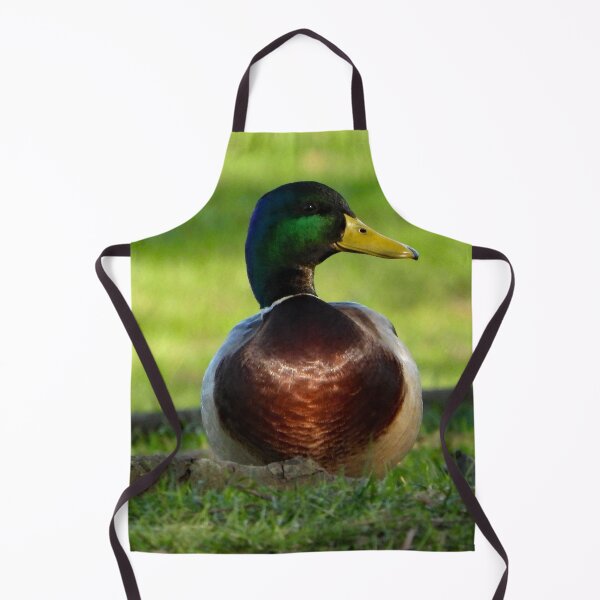 Item preview, A Wonderful Mallard Duck designed and sold by Karen Thomson.