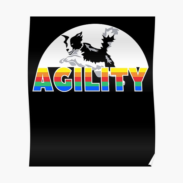 Agility for dog owner and agility dog sport trainer Poster